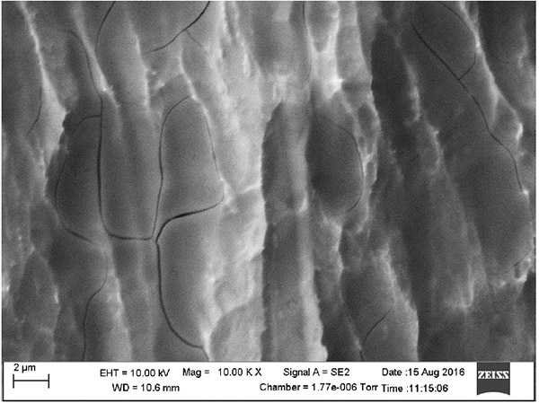 Crack Arresting On Etched Titanium Dental Implant Surfaces