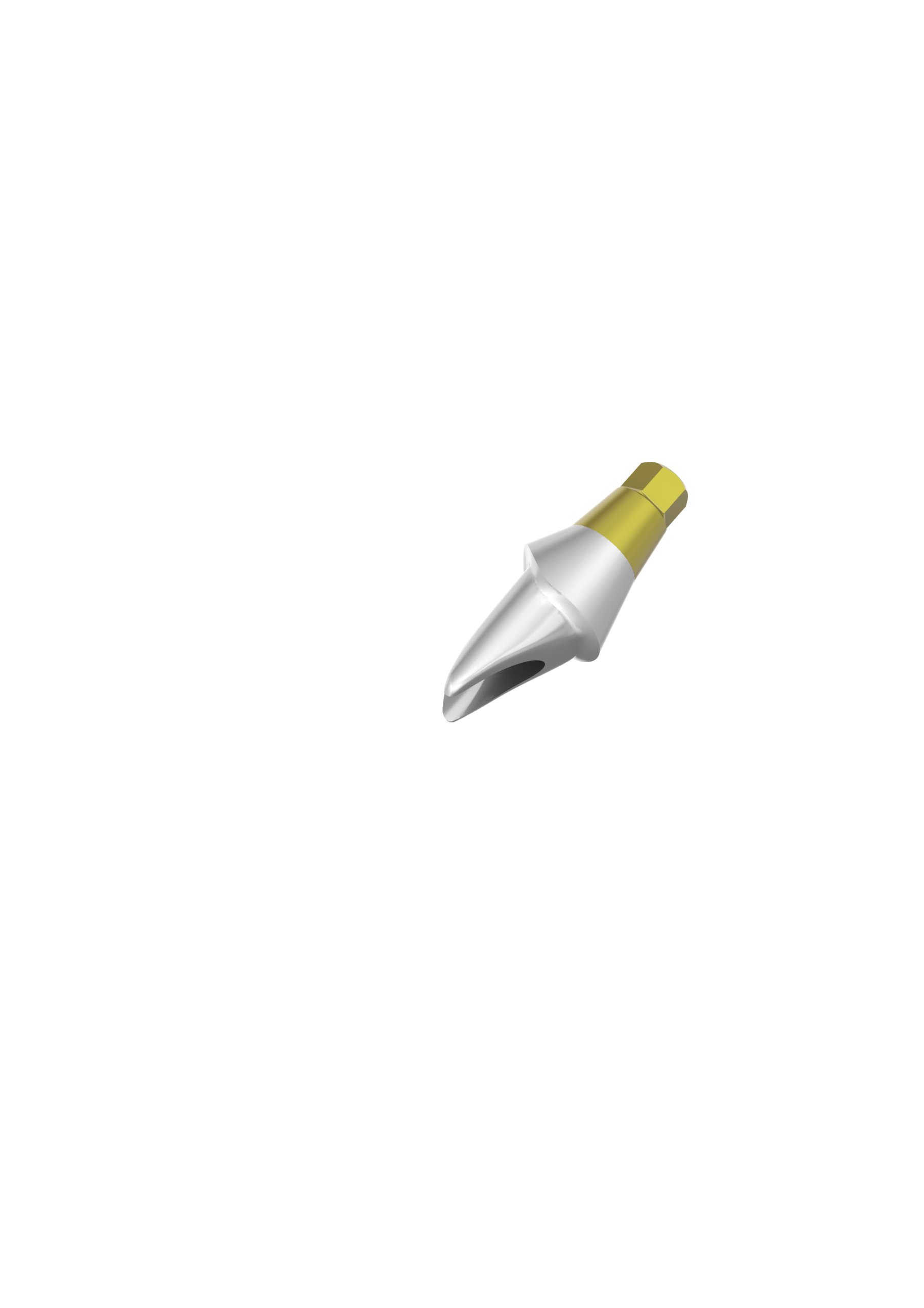 Anodised Gold Finish