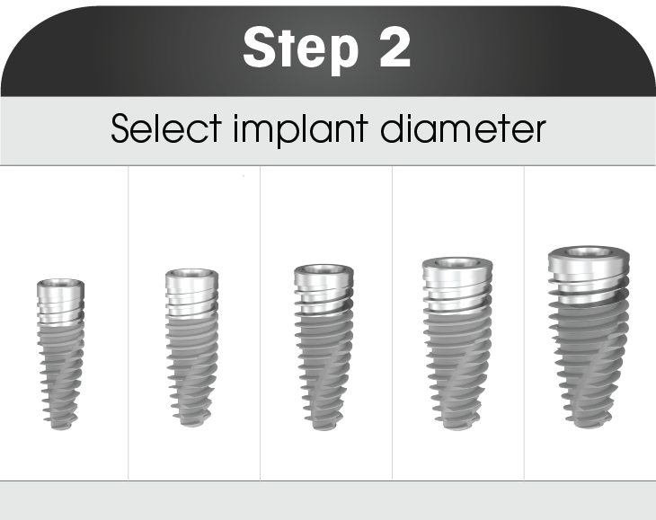 Implant System