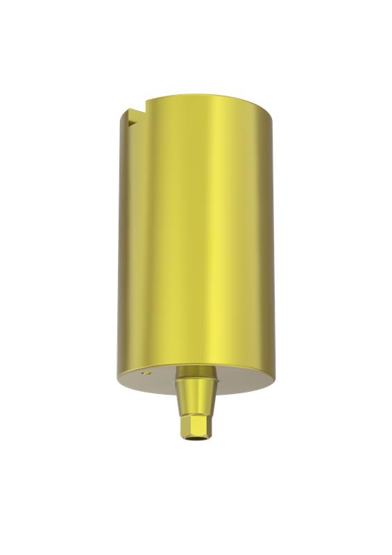 SP1 (Single Platform)